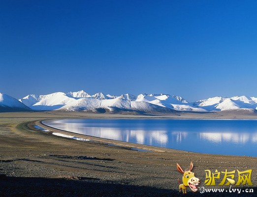 青海湖.jpg