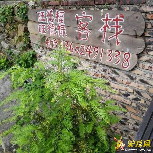 QQ图片20150921133249.jpg