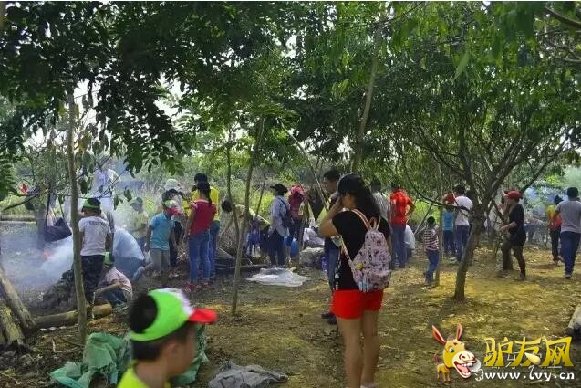 QQ截图20160704210556.jpg